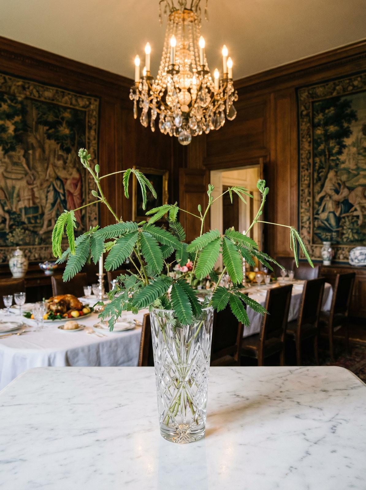 少妇含羞草视频教程